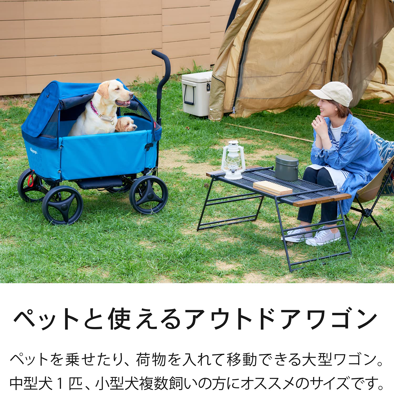 Amazon.co.jp: 【OFT】 ibiyaya アウトドアペットワゴン アクアブルー